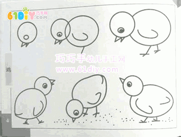 幼儿学画——小鸡简笔画