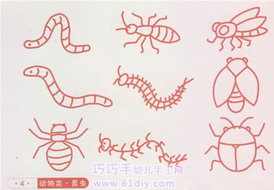 各种小昆虫的简笔画4