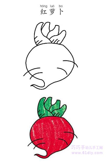 红萝卜简笔画和涂色（蔬菜类）
