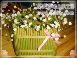 筷子花盆