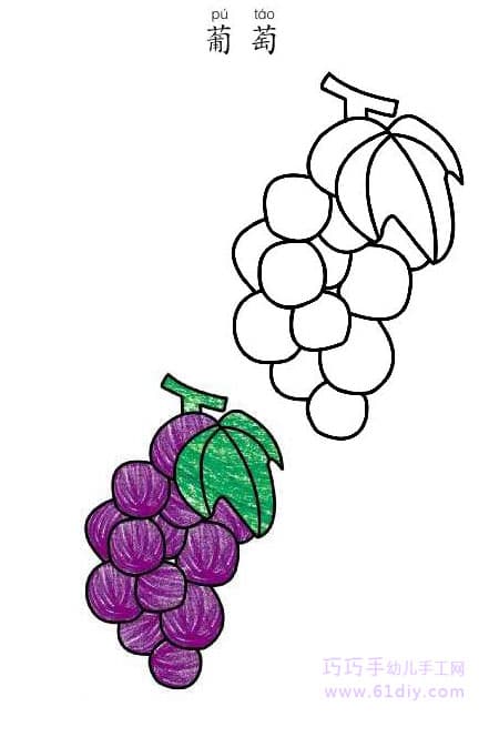 幼儿学画——葡萄的简笔画和涂色（水果类）