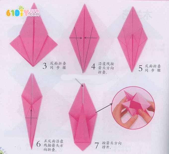 儿童折纸 木兰花