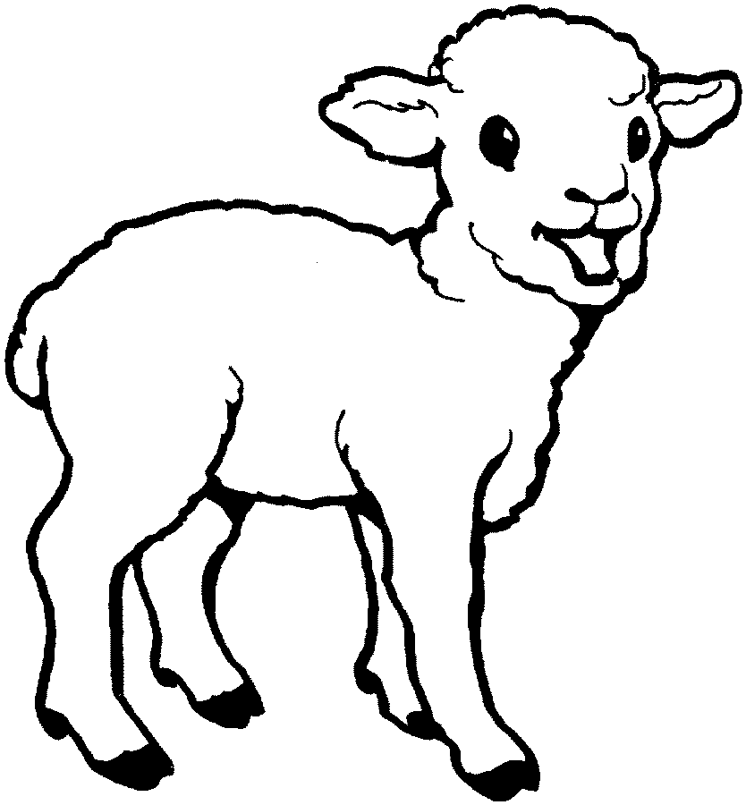 16张小羊填色图