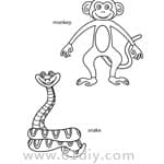 动物填色图：猴子和蛇