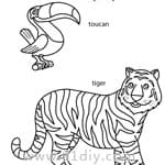 动物填色图 巨嘴鸟和老虎