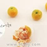 粘土水果教程 手工制作小橘子