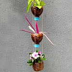 漂亮的盆栽制作 饮料瓶挂式花器