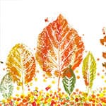 树叶印创意画 美丽的秋天