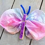 咖啡滤纸和木夹子DIY制作蝴蝶