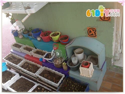 幼儿园春天植物角布置案例