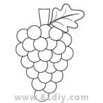 水果填色图——葡萄